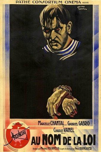 In the Name of the Law film afişi