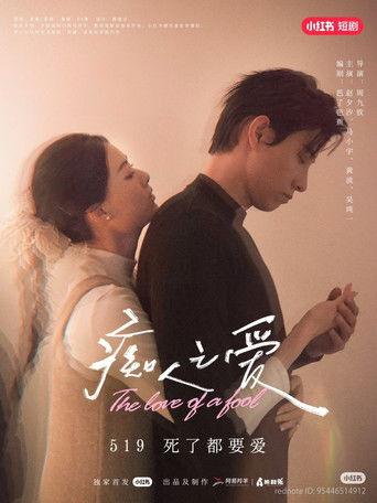 痴人之爱 dizi afişi