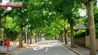 Our Breathing Cities