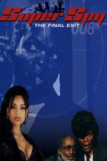 Super Spy: The Final Exit film afişi