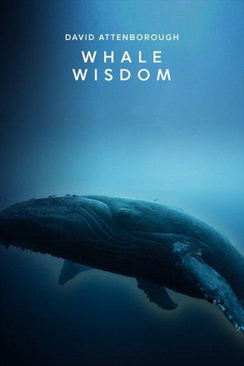 Whale Wisdom film afişi