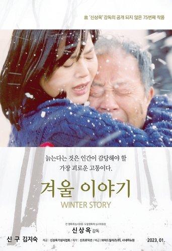 Winter Story film afişi