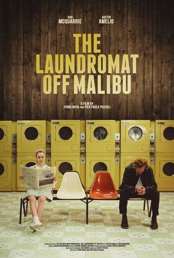 The Laundromat Off Malibu film afişi