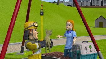 Who Let the Cat Out?