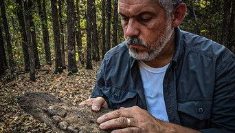 Aggressive Bigfoot and Haunted Hotel