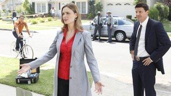 The Beautiful Day in the Neighborhood