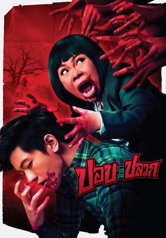 The Ugly Ghost film afişi