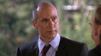 Mr. Monk Stays in Bed