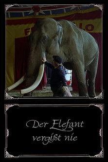 Der Elefant vergißt nie film afişi