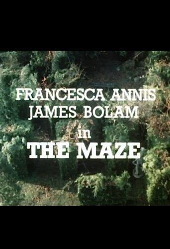 The Maze film afişi