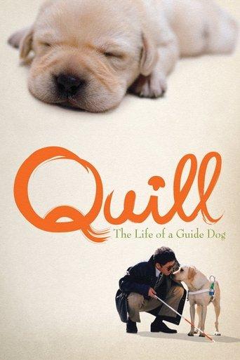 Quill: The Life of a Guide Dog film afişi
