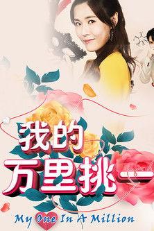 My One in a Million dizi afişi