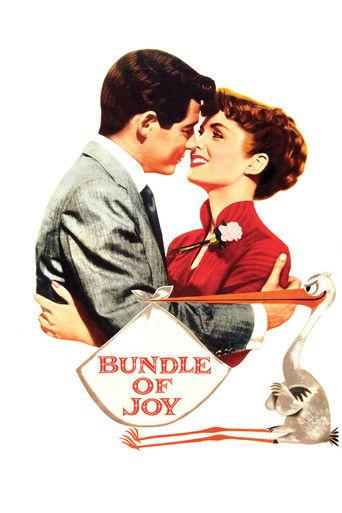 Bundle of Joy film afişi