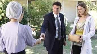 The Plain in the Prodigy