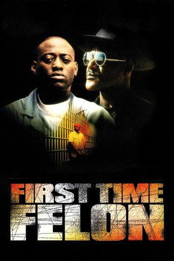 First Time Felon film afişi
