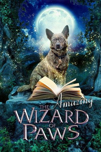 The Amazing Wizard of Paws film afişi