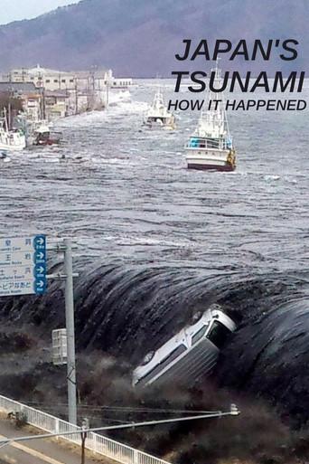 Japan's Tsunami: How It Happened film afişi