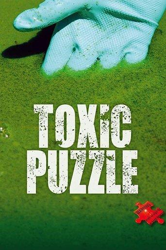 Toxic Puzzle film afişi