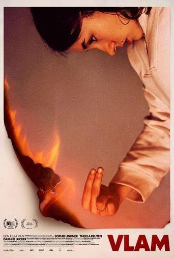 Vlam film afişi