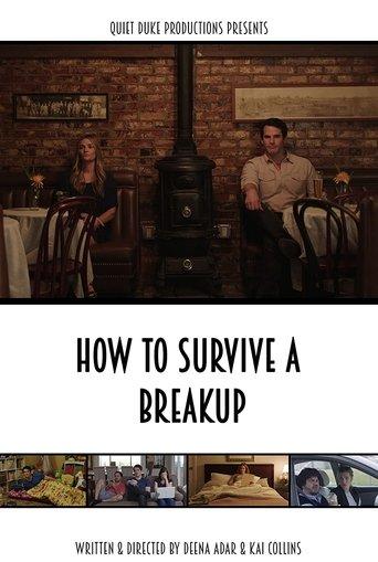 How to Survive a Breakup film afişi