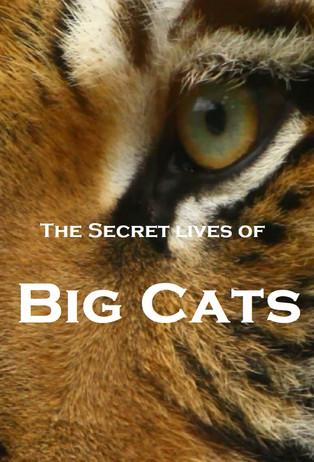 The Secret Lives Of Big Cats dizi afişi