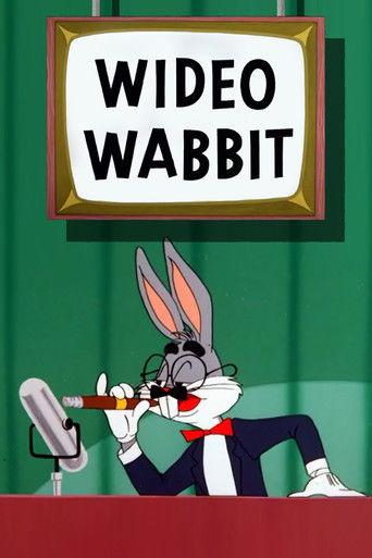 Wideo Wabbit film afişi