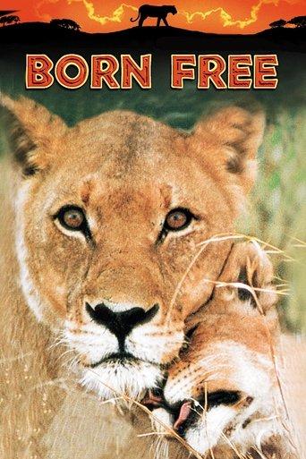 Born Free dizi afişi