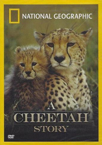 Cheetah Story film afişi
