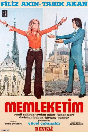 Memleketim film afişi