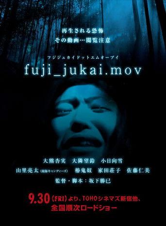 fuji_jukai.mov film afişi