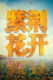 紫荆花开 dizi afişi