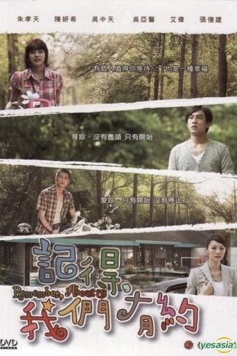 记得，我们有约 dizi afişi