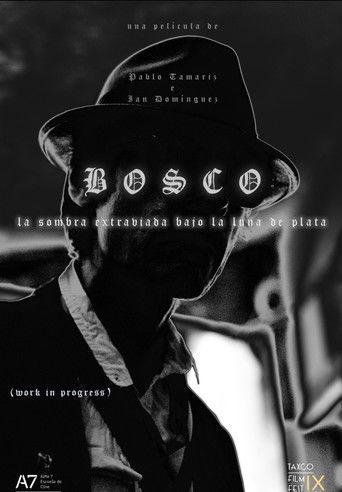 Bosco: La Sombra Extraviada Bajo la Luna de Plata film afişi