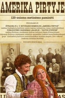 America in the Bathhouse film afişi