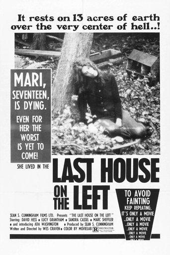The Last House on the Left film afişi
