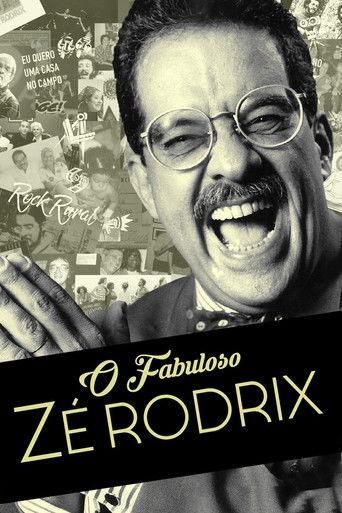 O Fabuloso Zé Rodrix film afişi