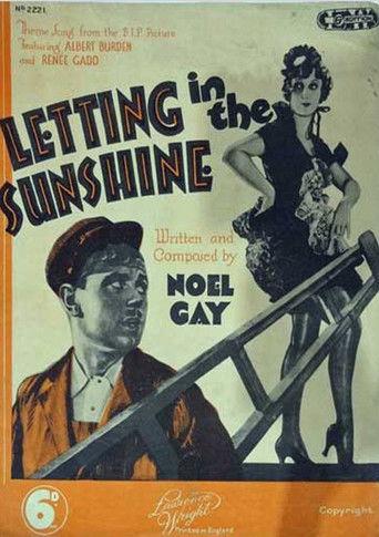 Letting in the Sunshine film afişi