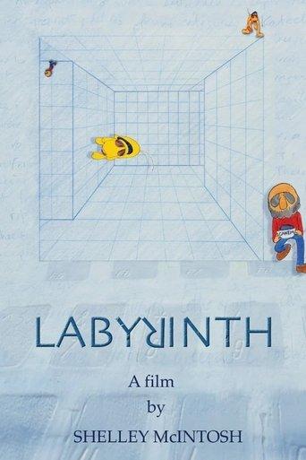 Labyrinth film afişi
