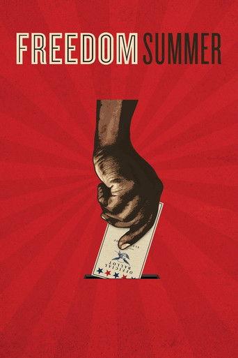 Freedom Summer film afişi