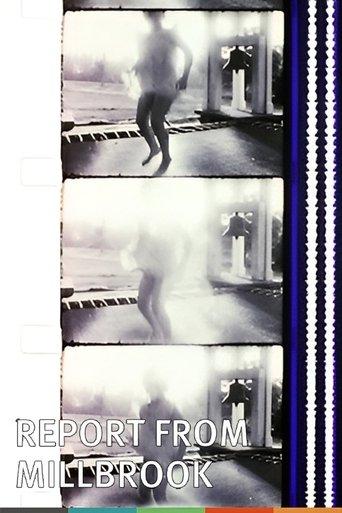 Report from Millbrook film afişi