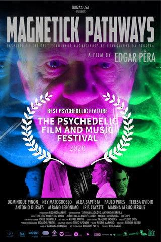 Magnetick Pathways film afişi