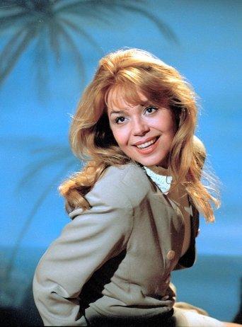 Sins for Detective Show Viewers dizi afişi