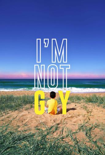 I'm Not Gay film afişi