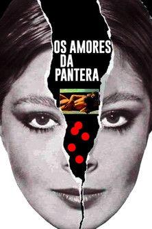 Os Amores da Pantera film afişi