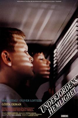 Subterranian Secrets film afişi