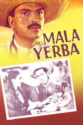 Mala yerba film afişi