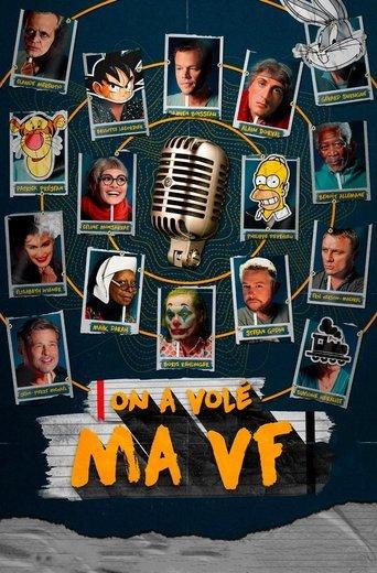 On a volé ma VF film afişi