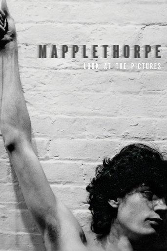 Mapplethorpe: Look at the Pictures film afişi