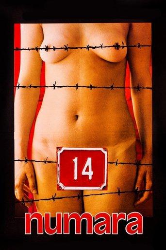 Number 14 film afişi