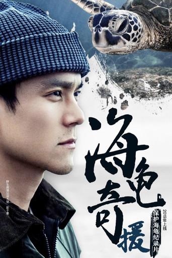 海龟奇援 dizi afişi
